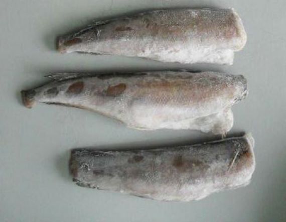 whiting fish heads whiting fish heads
